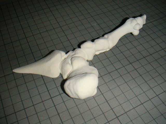 3D粉体造形による骨模型